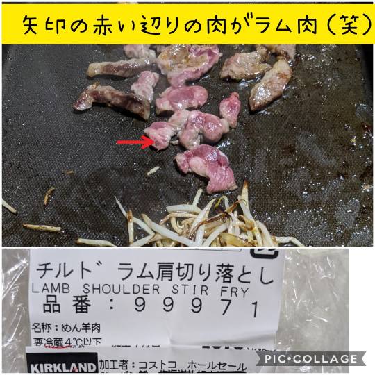 あつまれゲーム好きさんの森 Ⅴ 雑談も歓迎しとーよ♪