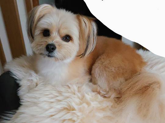 生き物ルーム第24