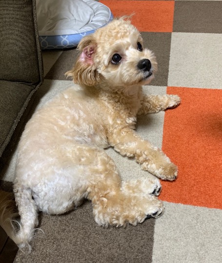 生き物ルーム第24