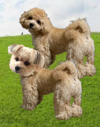 生き物ルーム第24