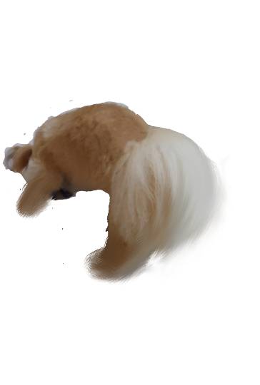 生き物ルーム第26