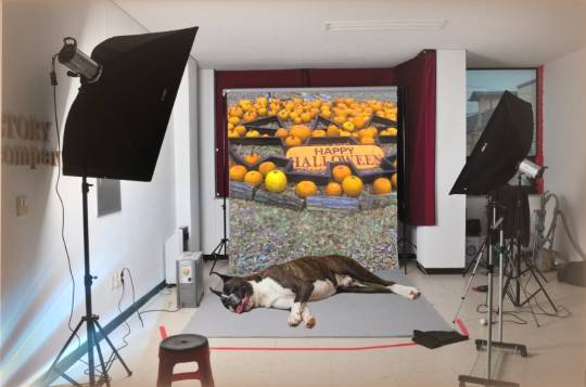 生き物ルーム第24