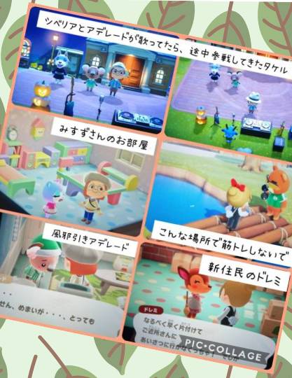 あつまれゲーム好きさんの森Ⅵ 雑談もあるばってん