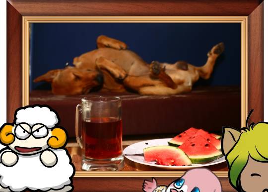 生き物ルーム第24