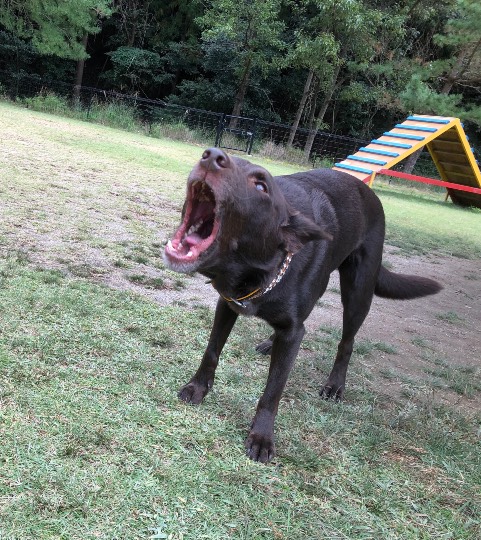 生き物ルーム第26