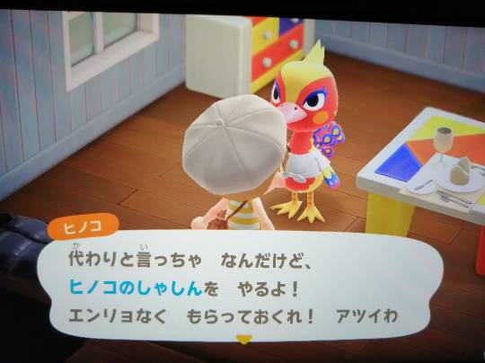 あつまれゲーム好きさんの森Ⅵ 雑談もあるばってん