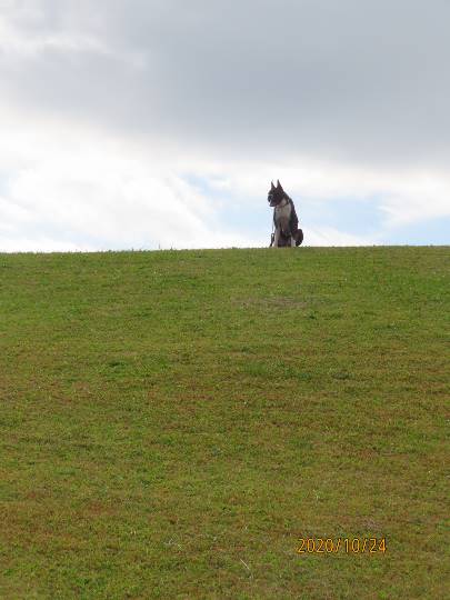 生き物ルーム第26