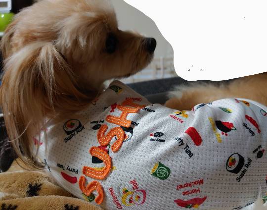 生き物ルーム第24