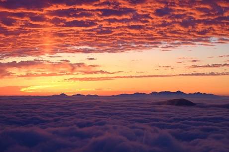 花鳥風月に心を込めて...　(エアー花トピ2)