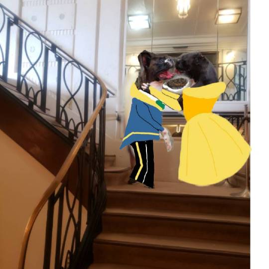 生き物ルーム第26