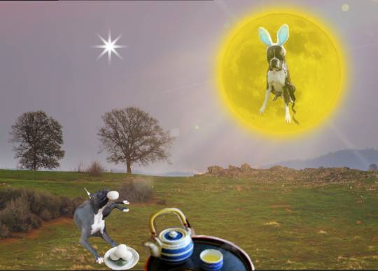 生き物ルーム第23