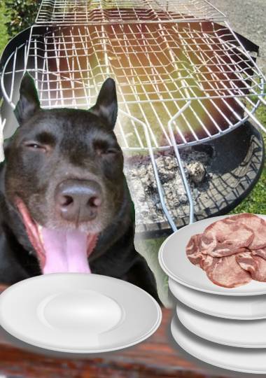 生き物ルーム第24