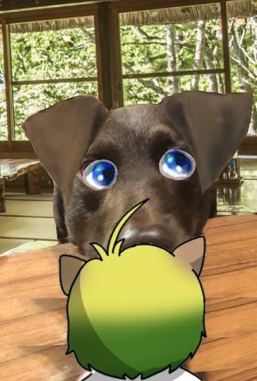 生き物ルーム第24