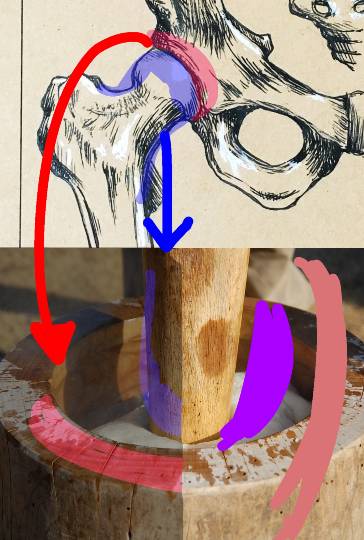 EGG&#039;S CAFE支店『Wellness』5号店　健康・体調・ダイエット・更年・介護...