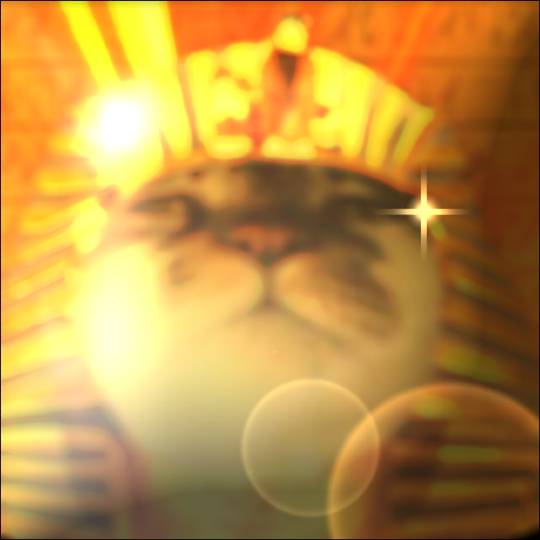 生き物ルーム第26