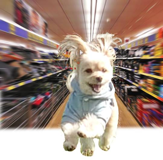 生き物ルーム第26