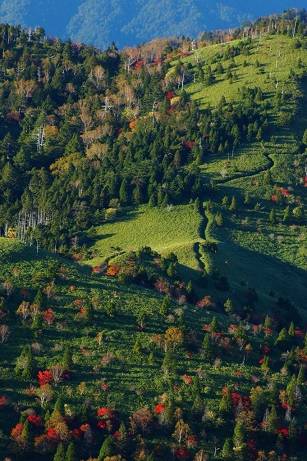 花鳥風月に心を込めて...　(エアー花トピ2)