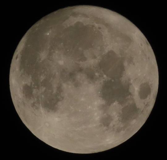 EGG'S CAFE 『雑談板5周年おめでとう』