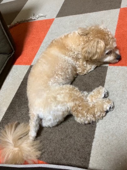 生き物ルーム第24