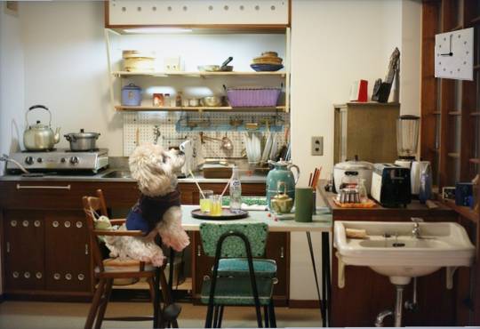 生き物ルーム第24