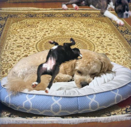 生き物ルーム第24