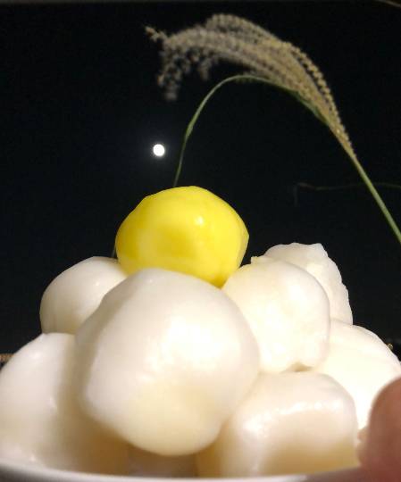 マスク同窓会詰所兼ニューフェイス歓迎所5