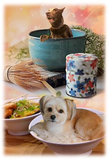 生き物ルーム第24