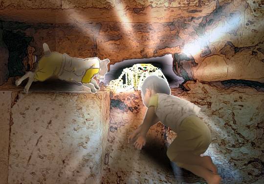 生き物ルーム第26