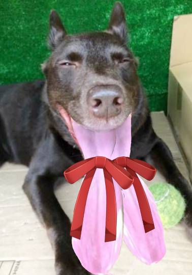 生き物ルーム第24