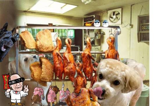 生き物ルーム第24