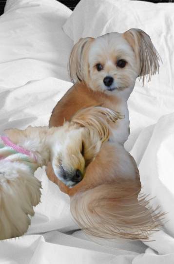 生き物ルーム第26