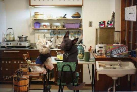 生き物ルーム第24