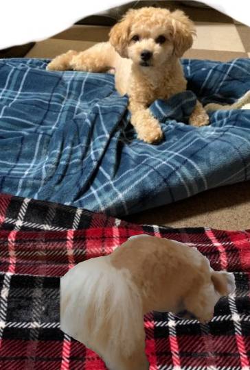 生き物ルーム第26