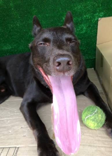 生き物ルーム第24