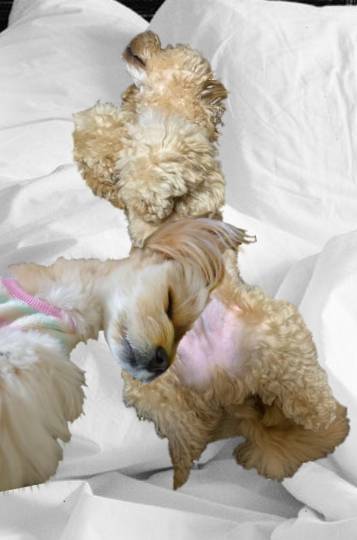 生き物ルーム第26