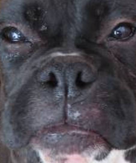 生き物ルーム第24