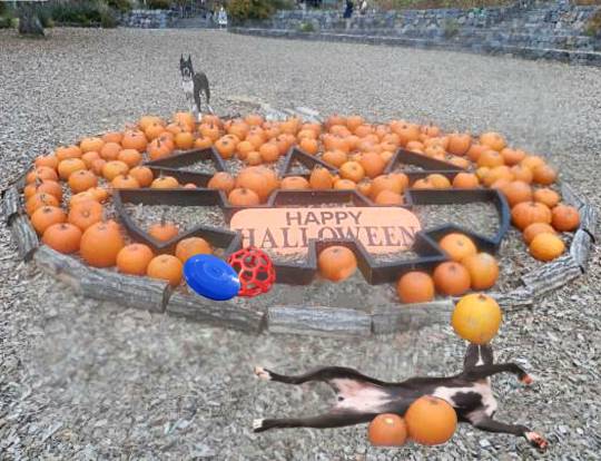 生き物ルーム第24