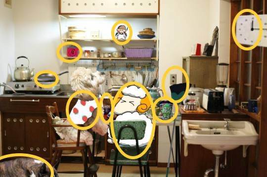 生き物ルーム第24