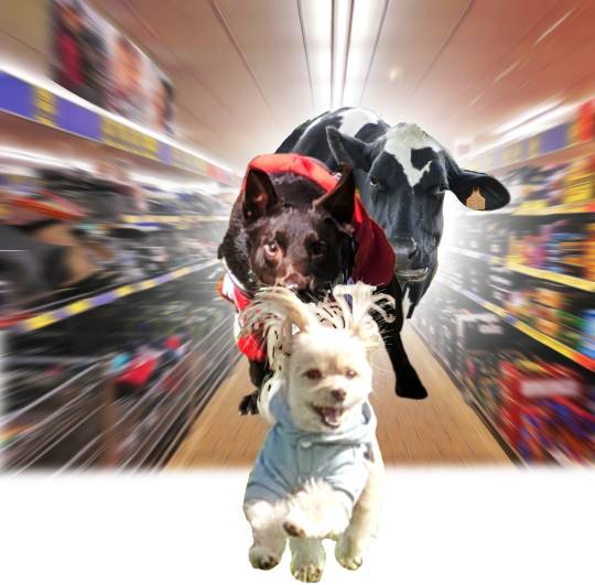 生き物ルーム第26