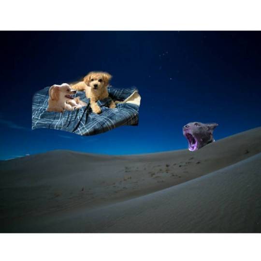 生き物ルーム第26