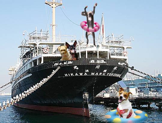 生き物ルーム第26