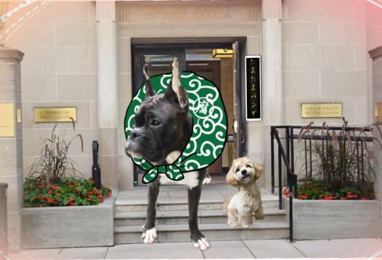 生き物ルーム第24