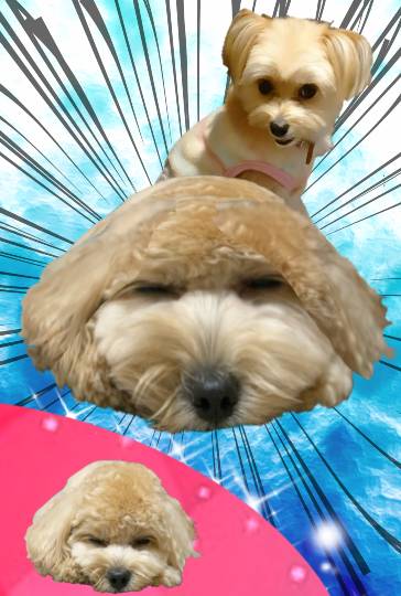 生き物ルーム第24