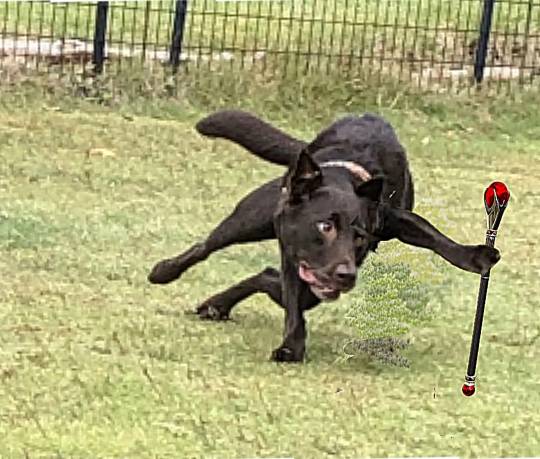 生き物ルーム第26