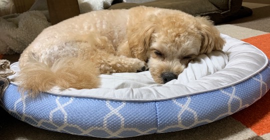 生き物ルーム第24