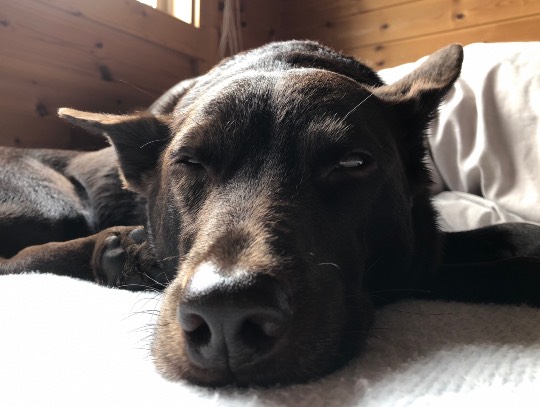 生き物ルーム第24