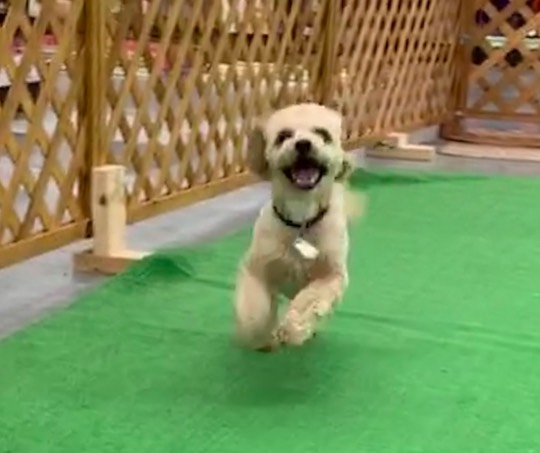 生き物ルーム第24