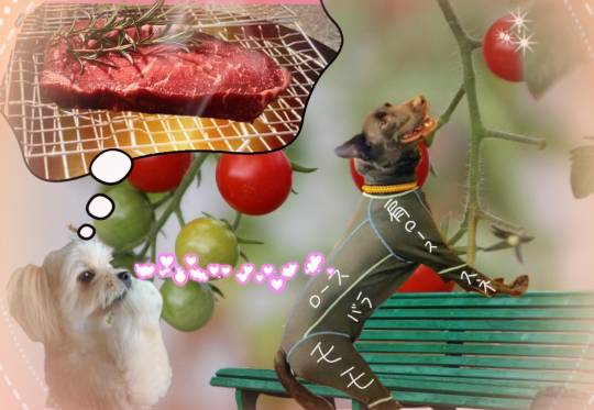 生き物ルーム第24