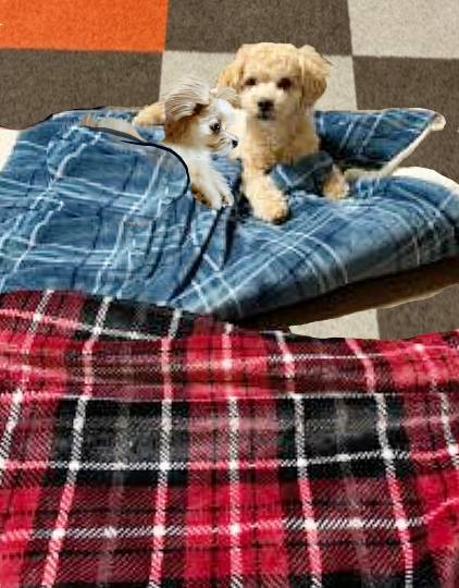 生き物ルーム第26