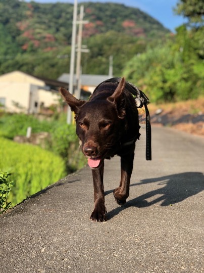 生き物ルーム第26